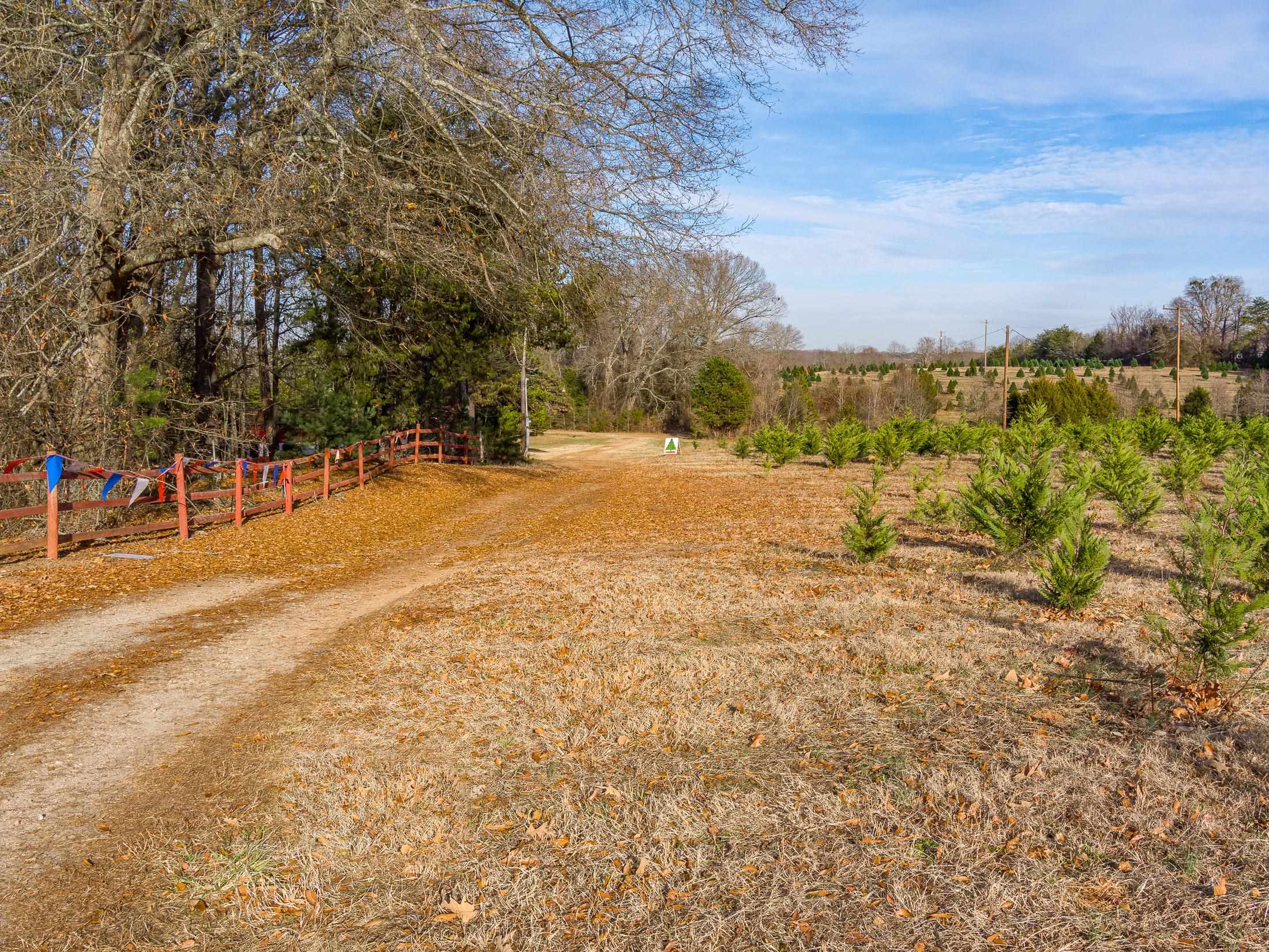 418 Martin Camp Road Chesnee, SC 29323 - Photo 3 of 27