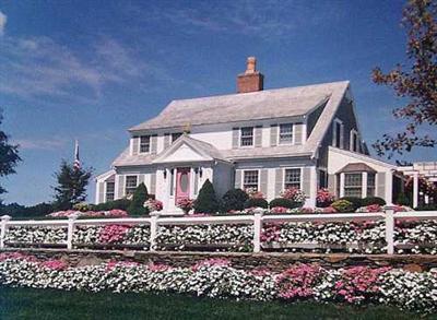 a front view of a house with a garden and plants