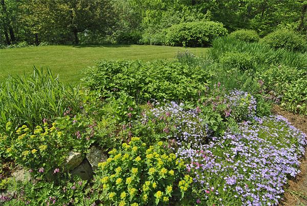 34 Grey Rock Road Bedford, NH 03110 - Photo 27 of 27 a view of a lush green space