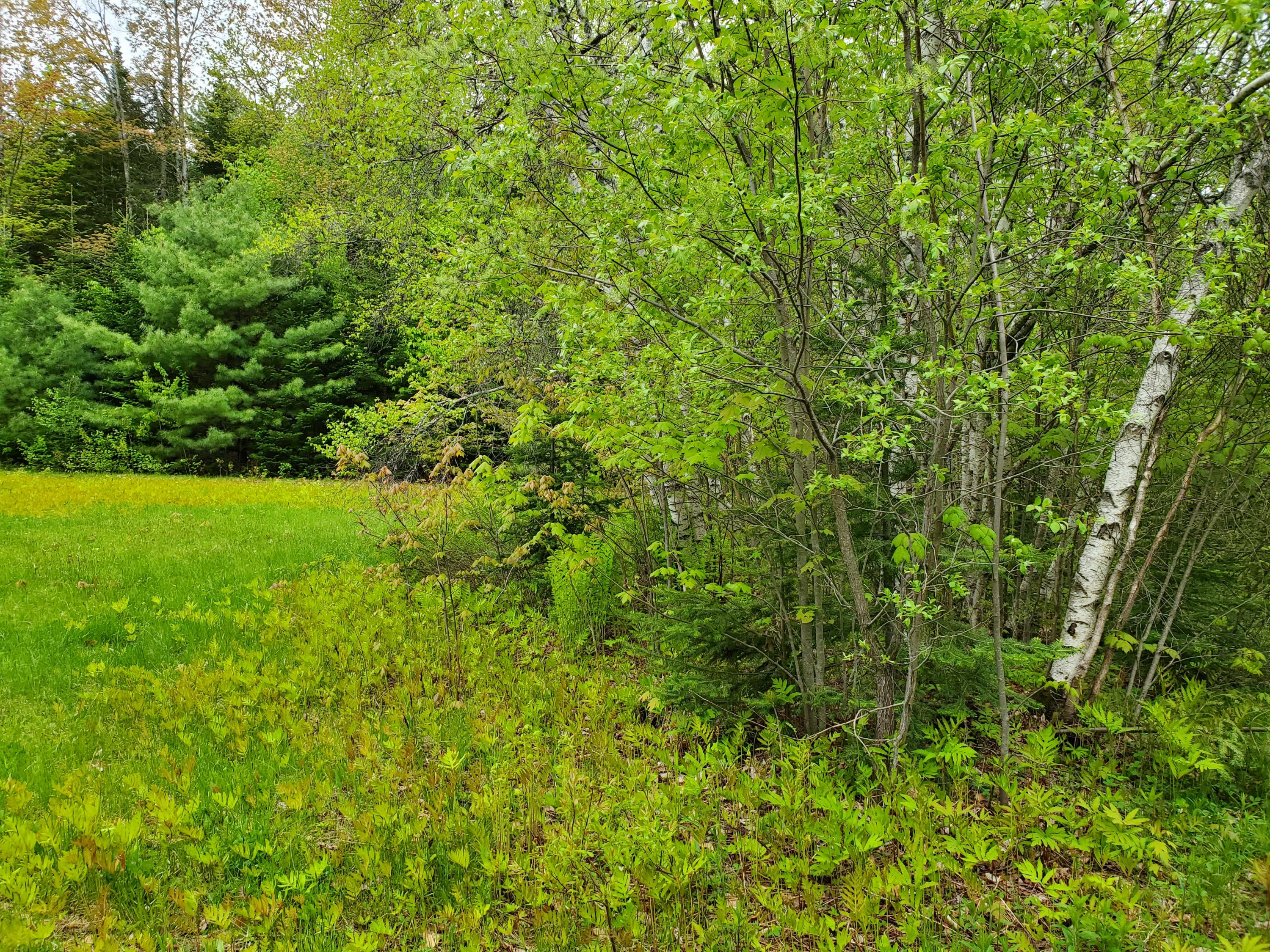 951 Thurston Hill Road Madison, ME 04950 - Photo 1 of 19 20190529_164841