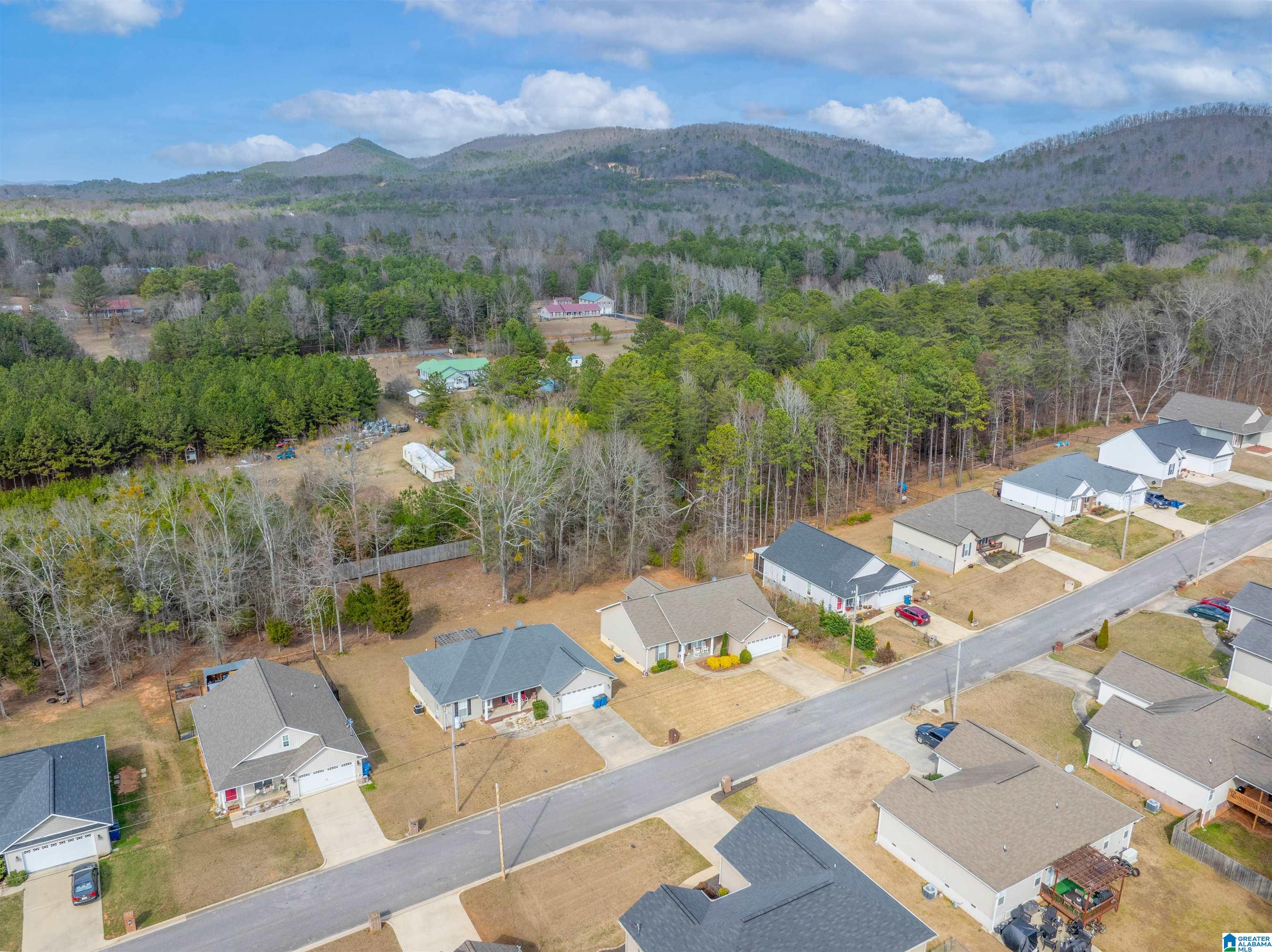 1012 Groves Pass Jacksonville, AL 36265 - Photo 21 of 22