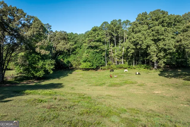 $1,599,000 | 186-188 Highway 136 Connector, Talking Rock, GA 30175