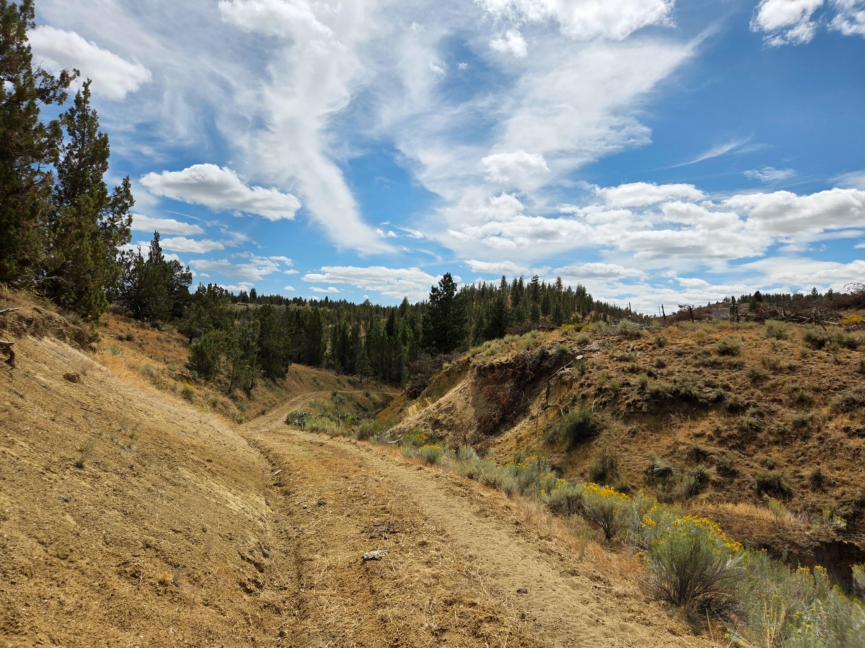 32500 Tackman Road Prineville, OR 97754 - Photo 102 of 112 image (1)