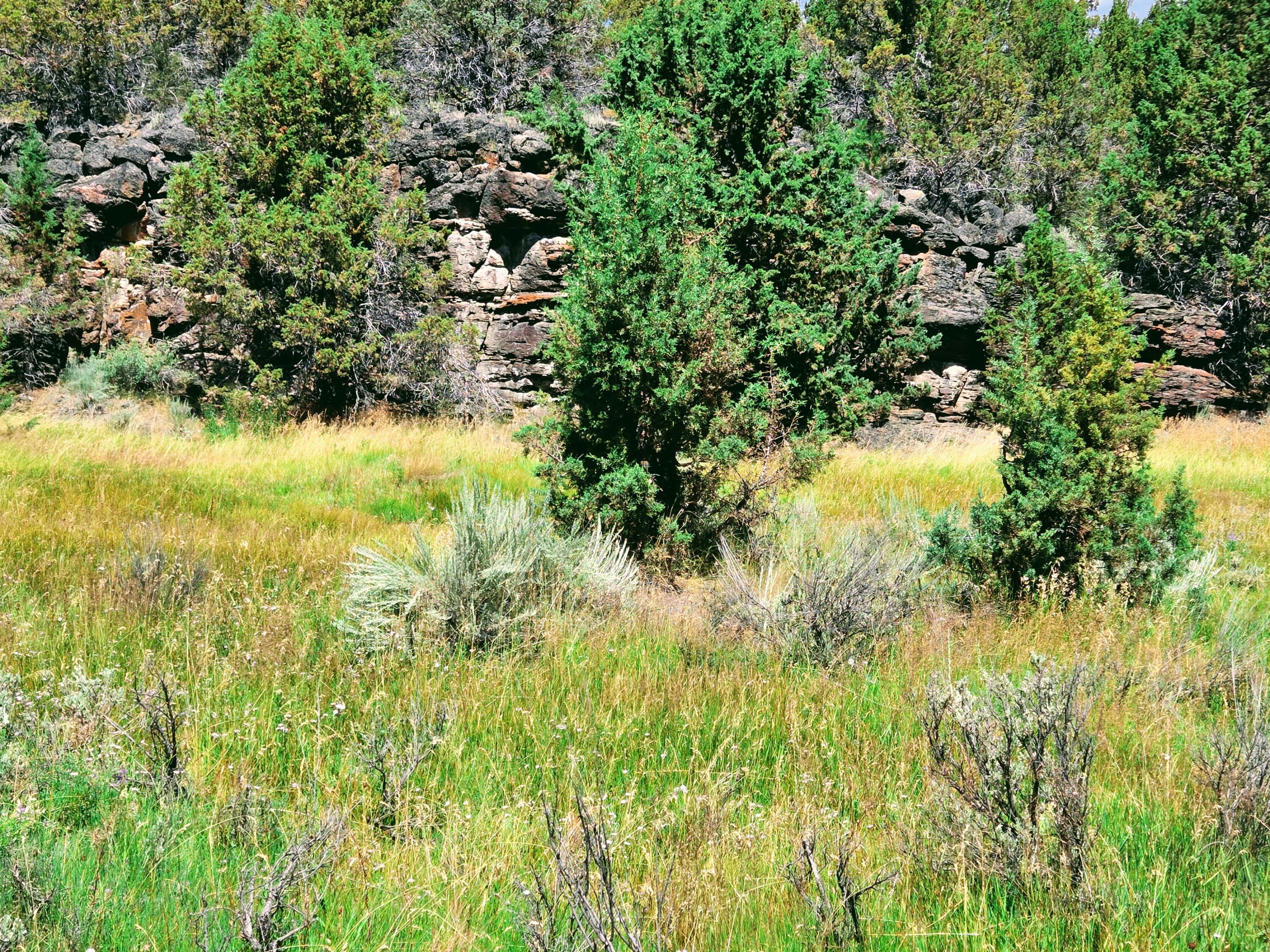 32500 Tackman Road Prineville, OR 97754 - Photo 111 of 112 image (44)