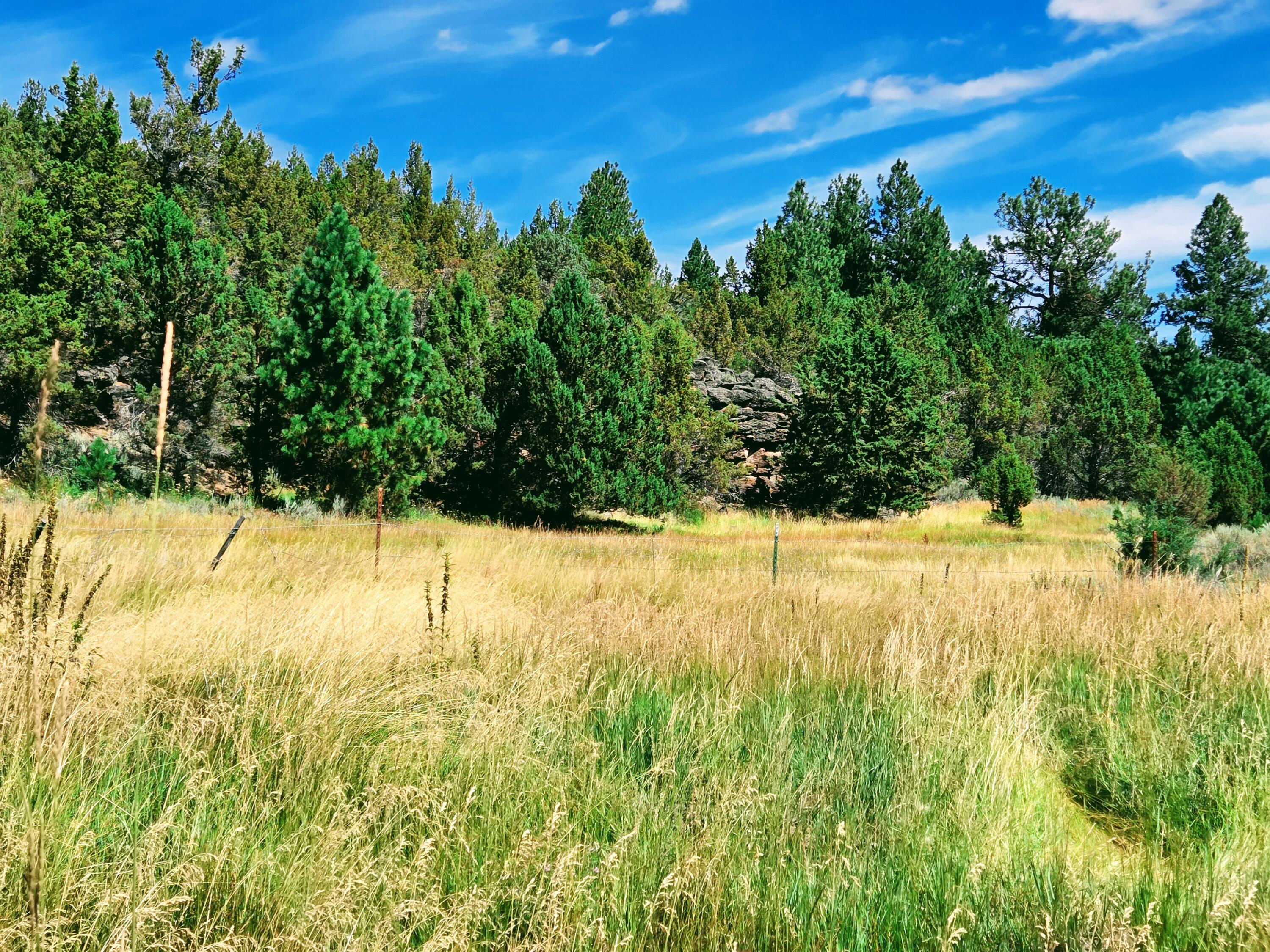 32500 Tackman Road Prineville, OR 97754 - Photo 112 of 112 image (45)
