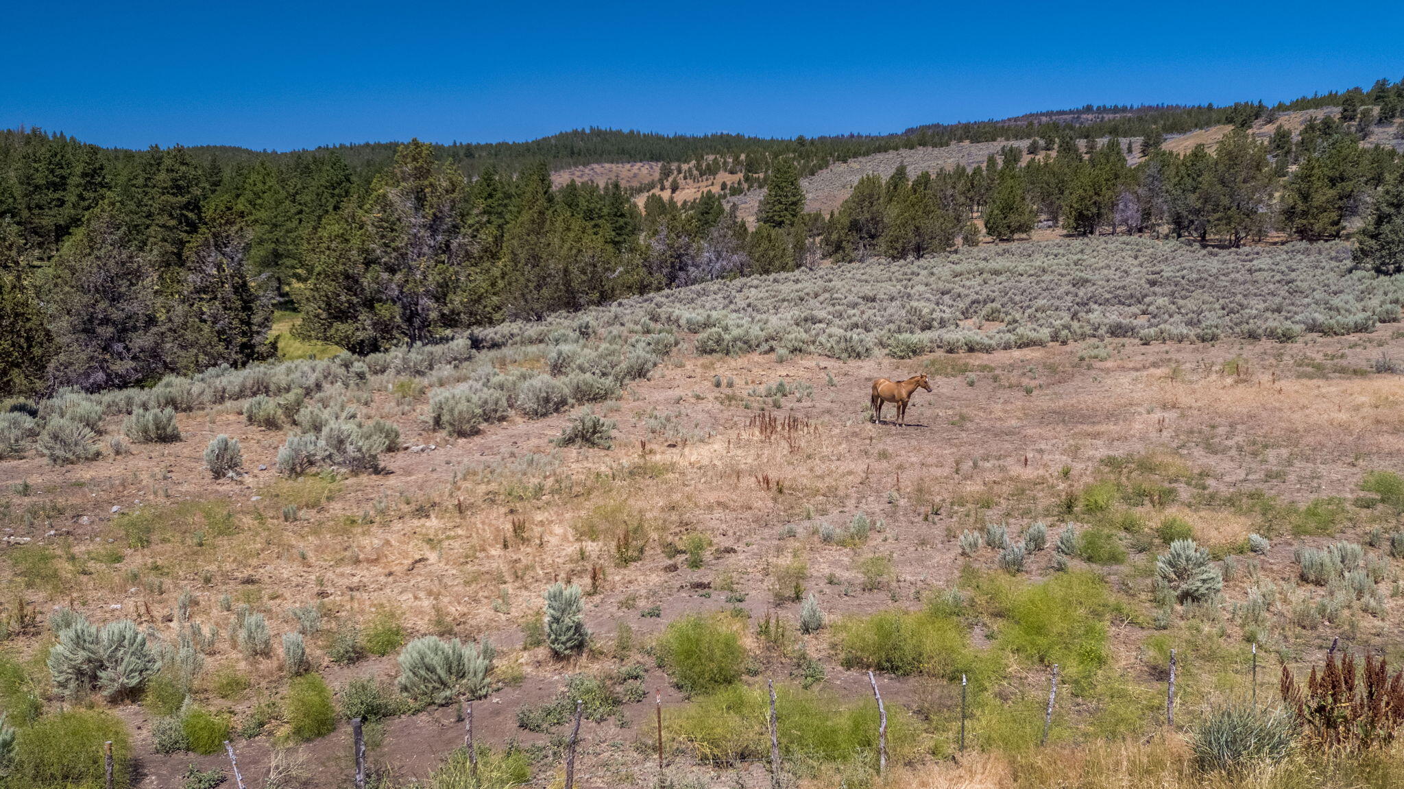 32500 Tackman Road Prineville, OR 97754 - Photo 32 of 112 19-web-or-mls-DJI_0646