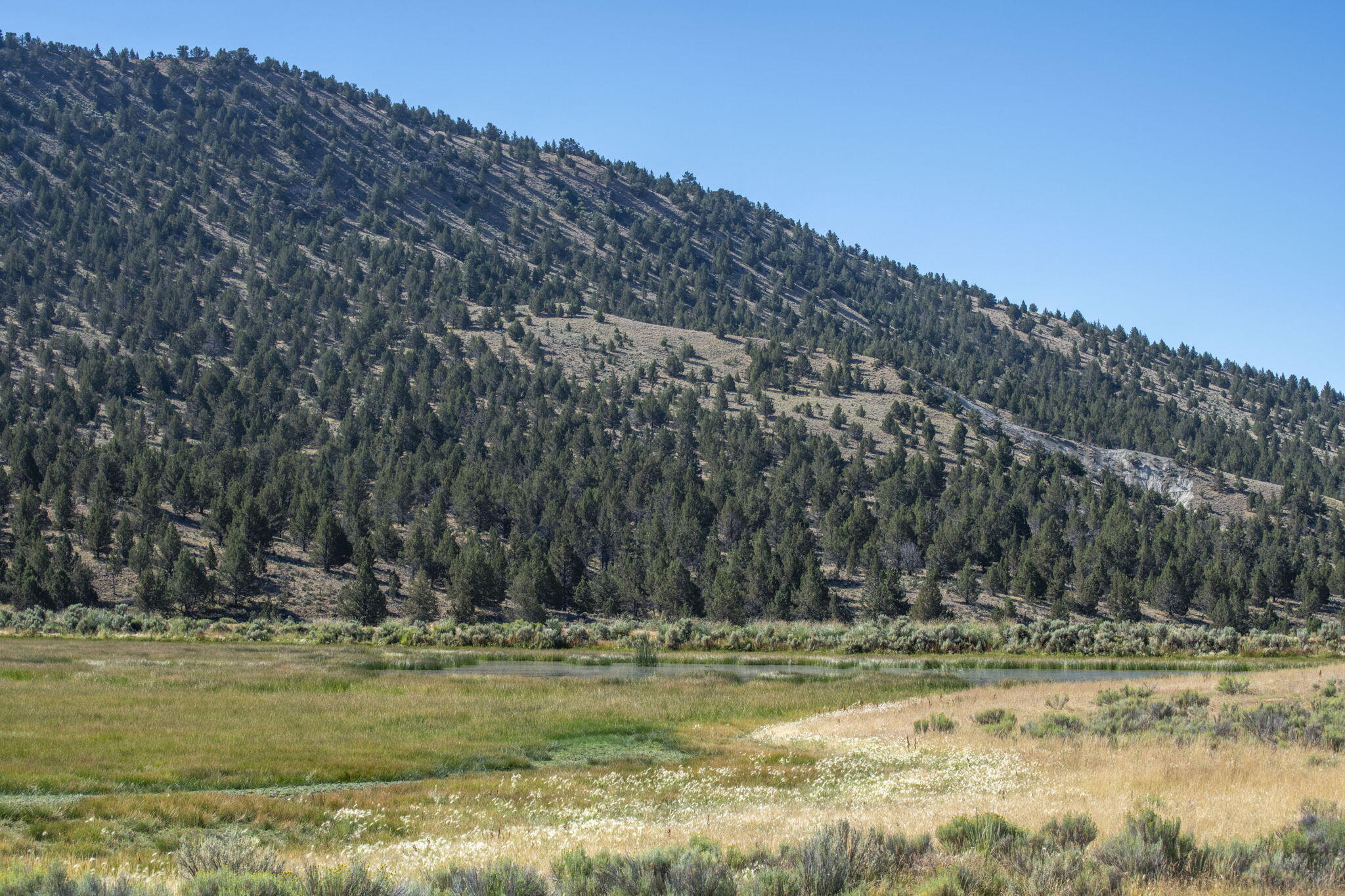 32500 Tackman Road Prineville, OR 97754 - Photo 37 of 112 57-web-or-mls-DSC_6693