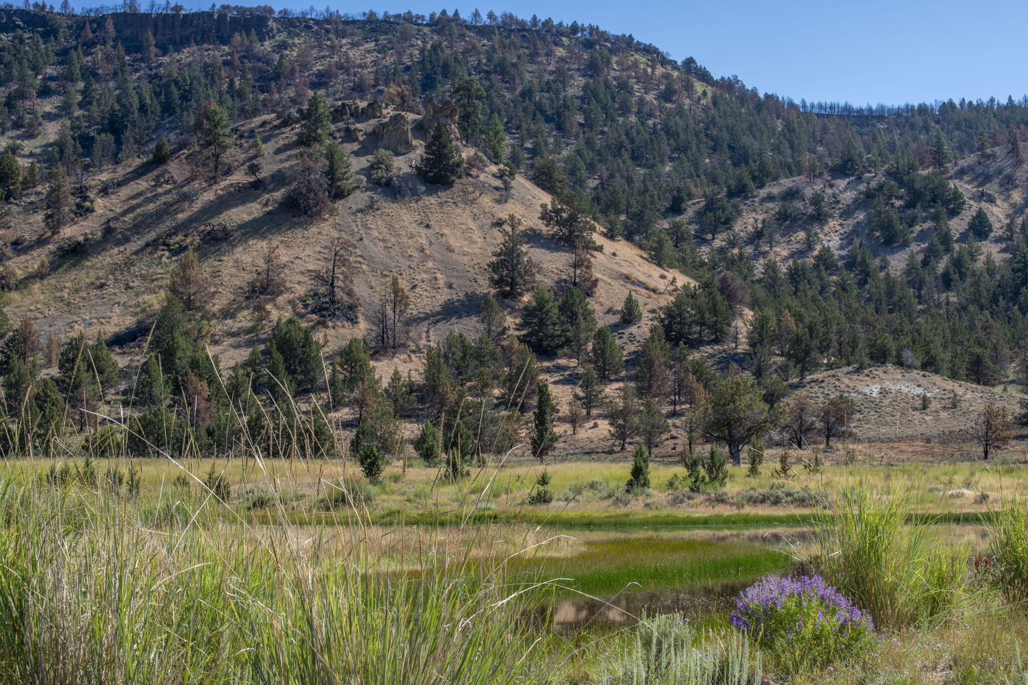 32500 Tackman Road Prineville, OR 97754 - Photo 41 of 112 70-web-or-mls-DSC_6711