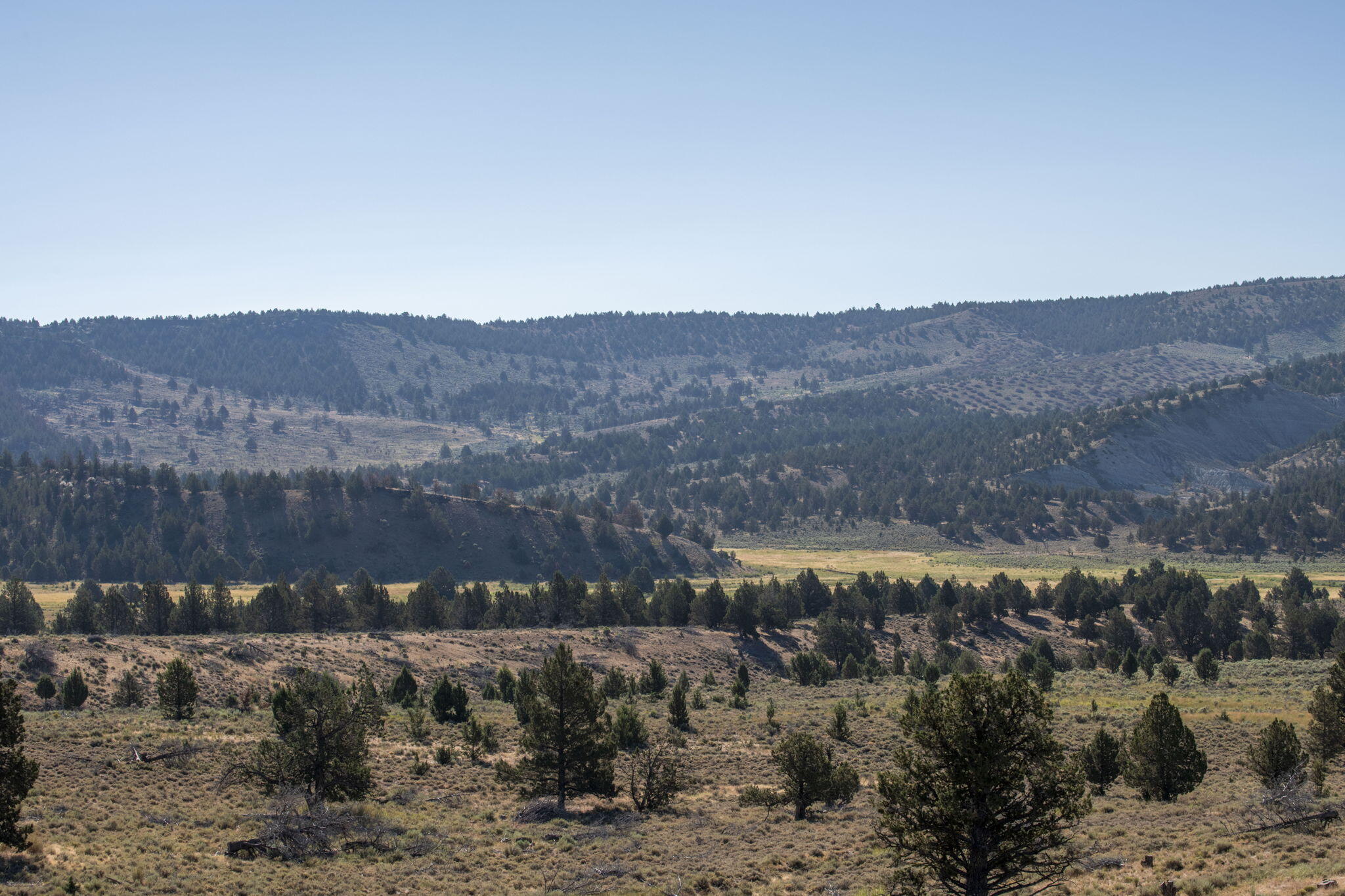 32500 Tackman Road Prineville, OR 97754 - Photo 49 of 112 28-web-or-mls-DSC_6647