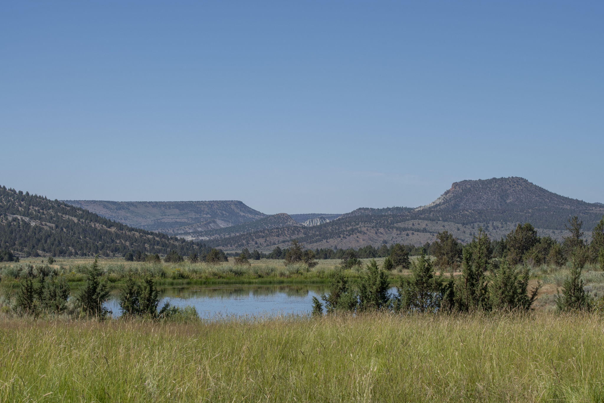 32500 Tackman Road Prineville, OR 97754 - Photo 51 of 112 80-web-or-mls-DSC_6723