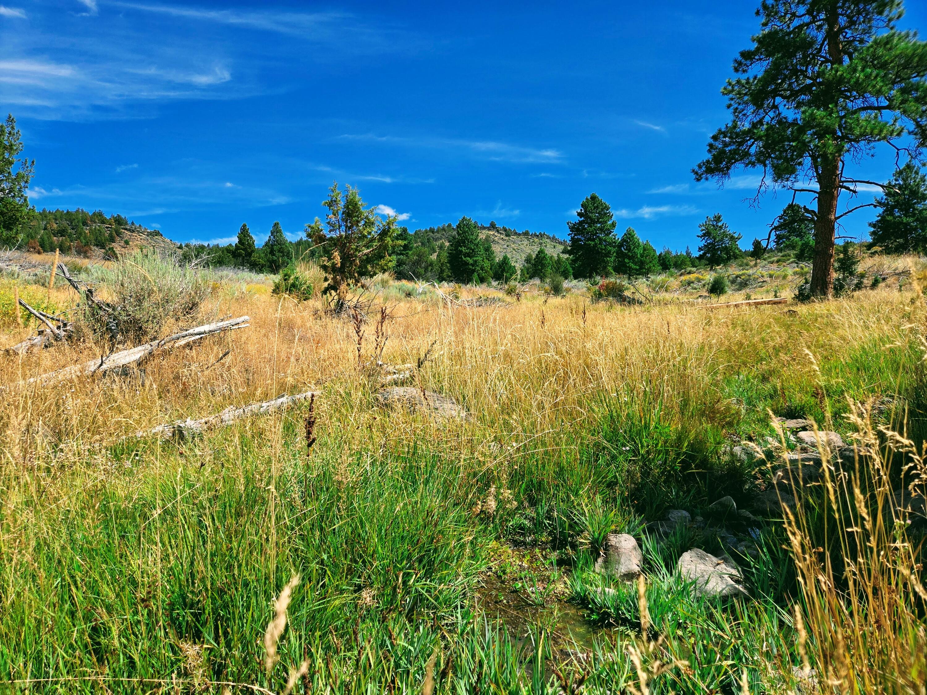 32500 Tackman Road Prineville, OR 97754 - Photo 55 of 112 image (17)