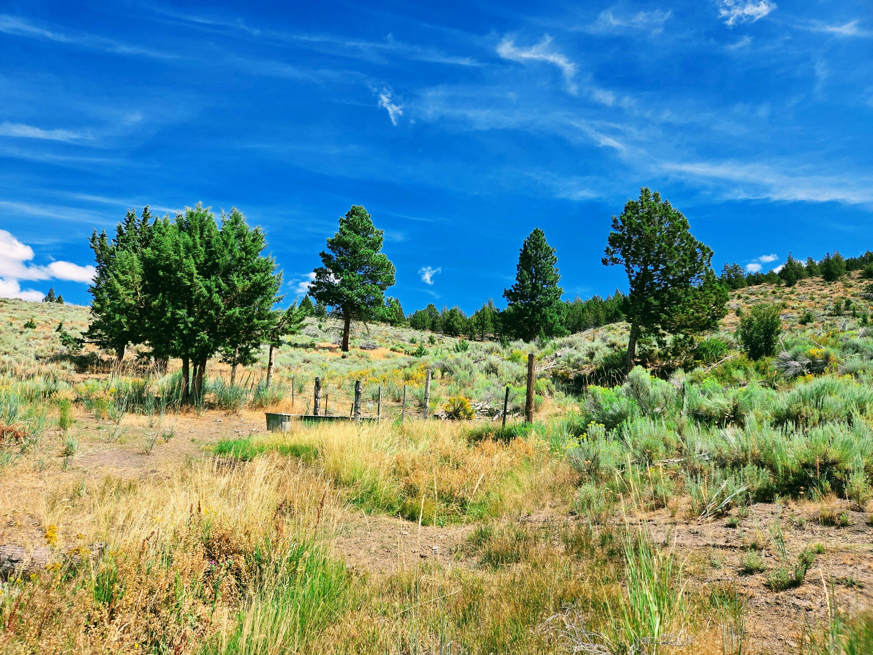 32500 Tackman Road Prineville, OR 97754 - Photo 78 of 112 image (15)