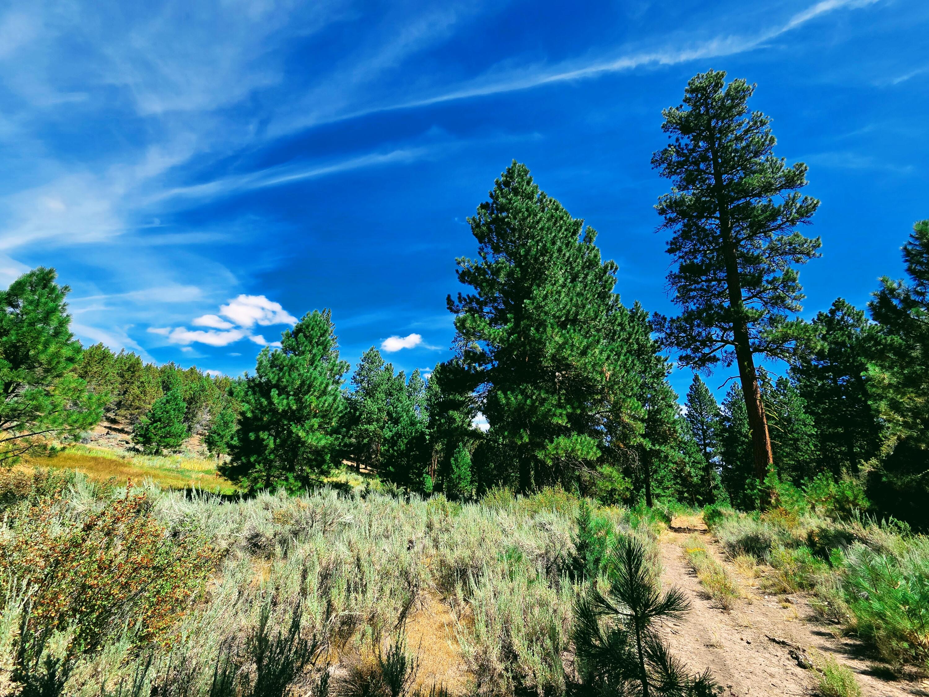 32500 Tackman Road Prineville, OR 97754 - Photo 80 of 112 image (31)