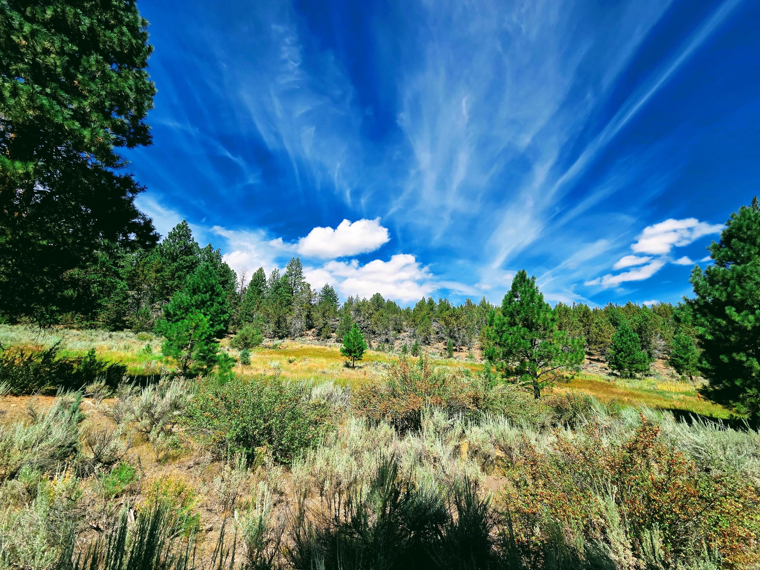 32500 Tackman Road Prineville, OR 97754 - Photo 82 of 112 image (36)