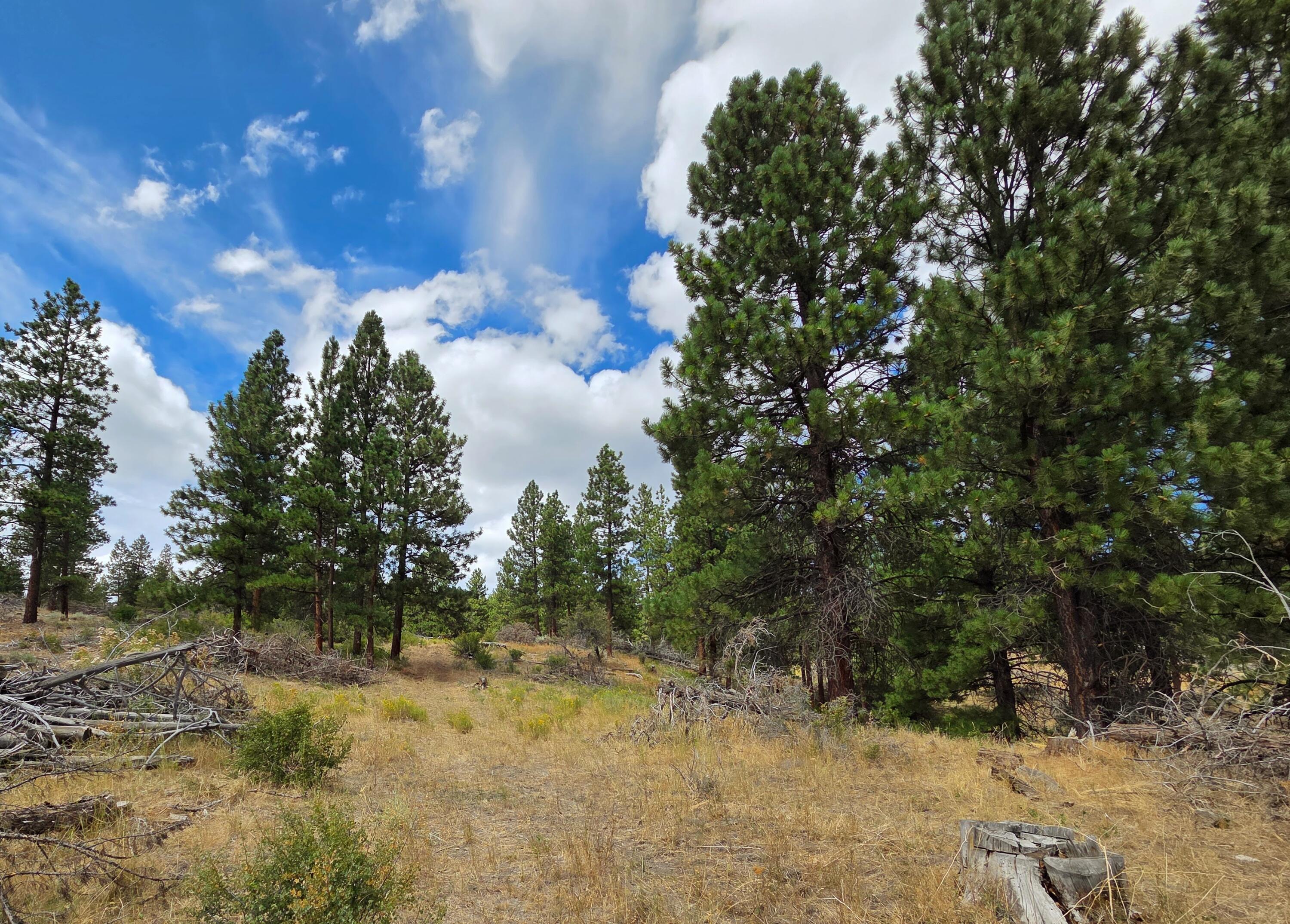 32500 Tackman Road Prineville, OR 97754 - Photo 87 of 112 image (8)