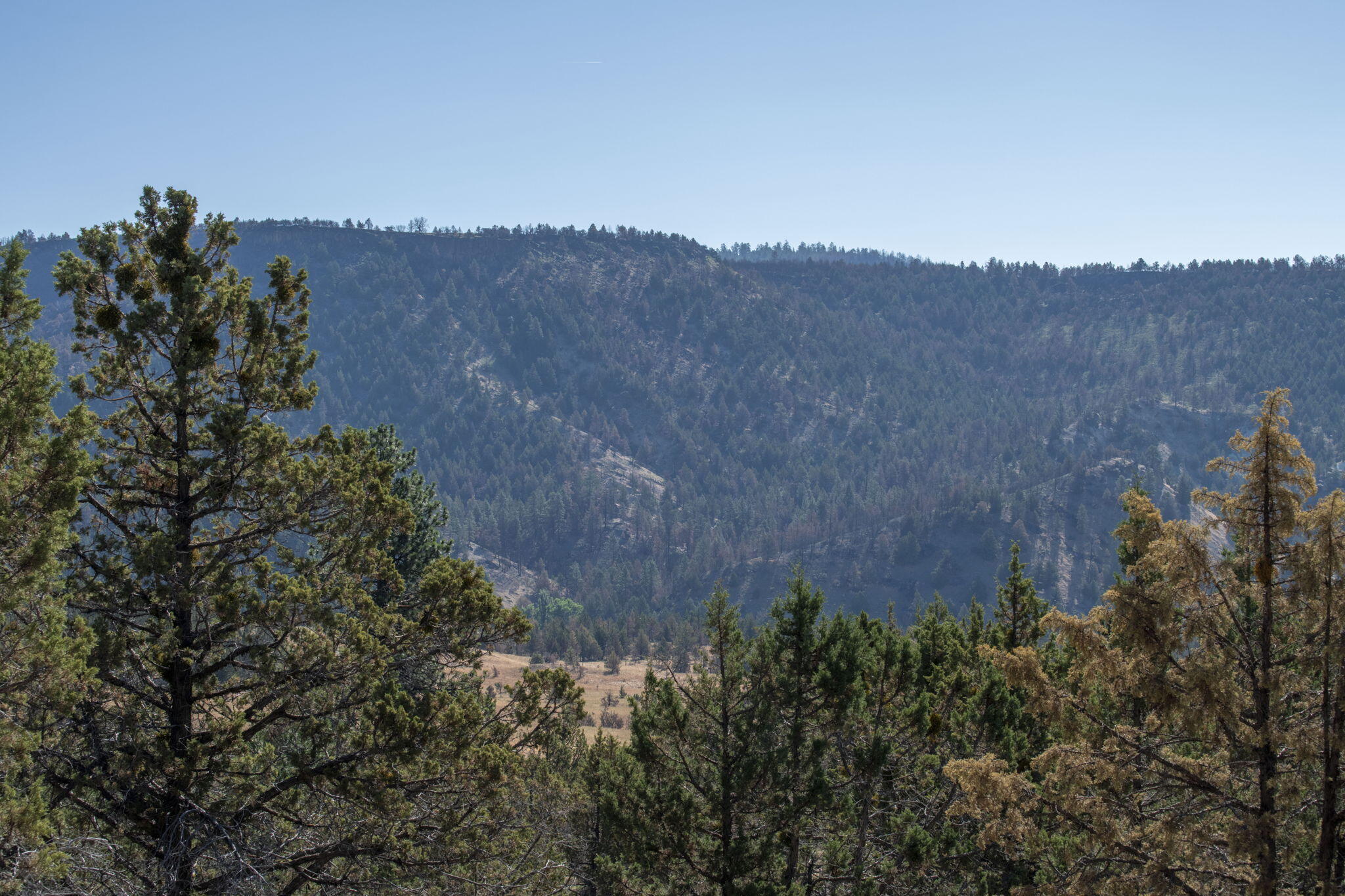 32500 Tackman Road Prineville, OR 97754 - Photo 88 of 112 32-web-or-mls-DSC_6652