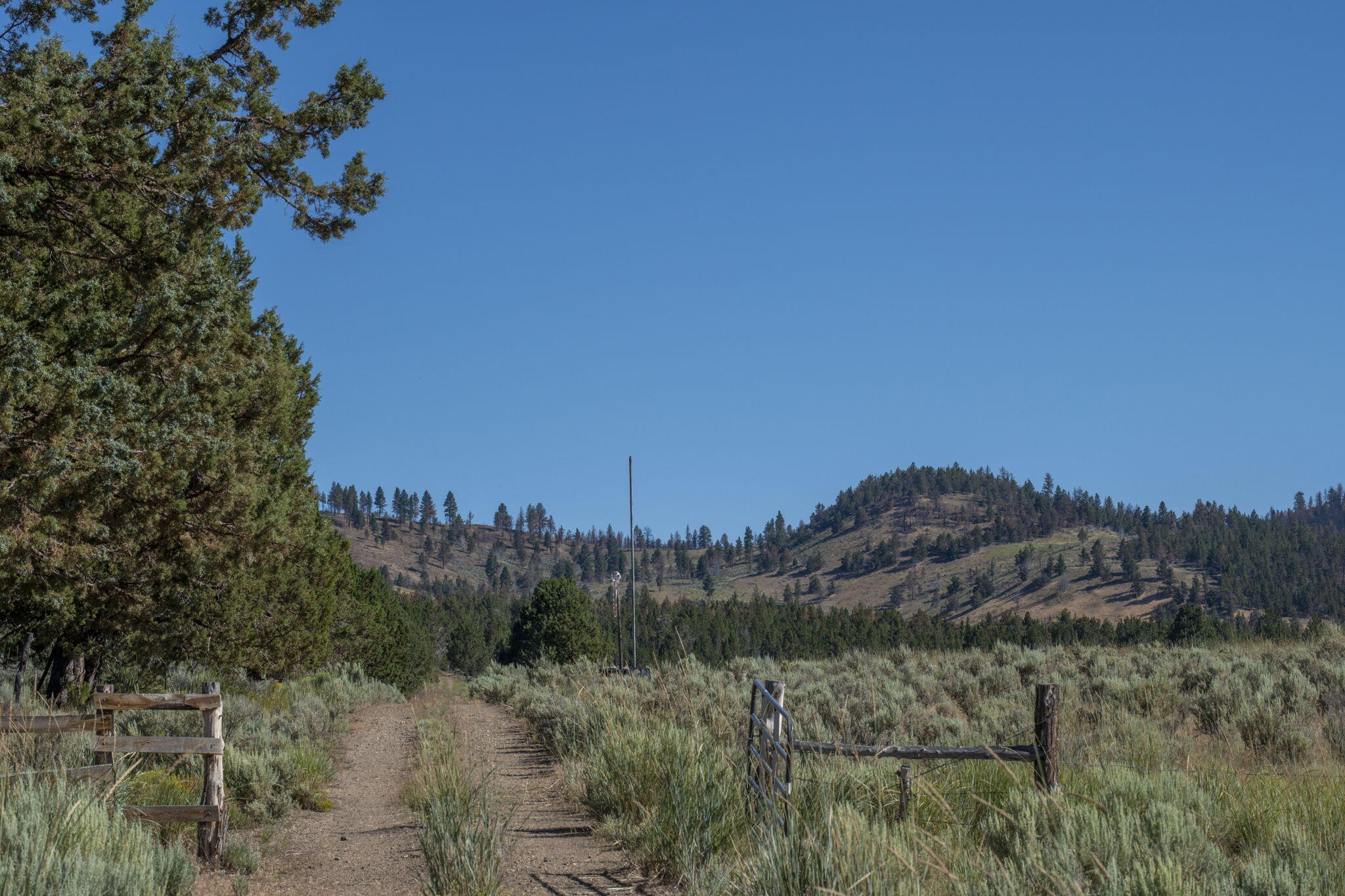 32500 Tackman Road Prineville, OR 97754 - Photo 93 of 112 59-web-or-mls-DSC_6695