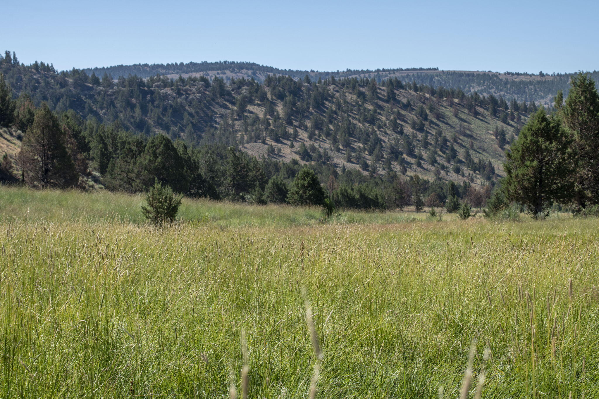 32500 Tackman Road Prineville, OR 97754 - Photo 97 of 112 79-web-or-mls-DSC_6720
