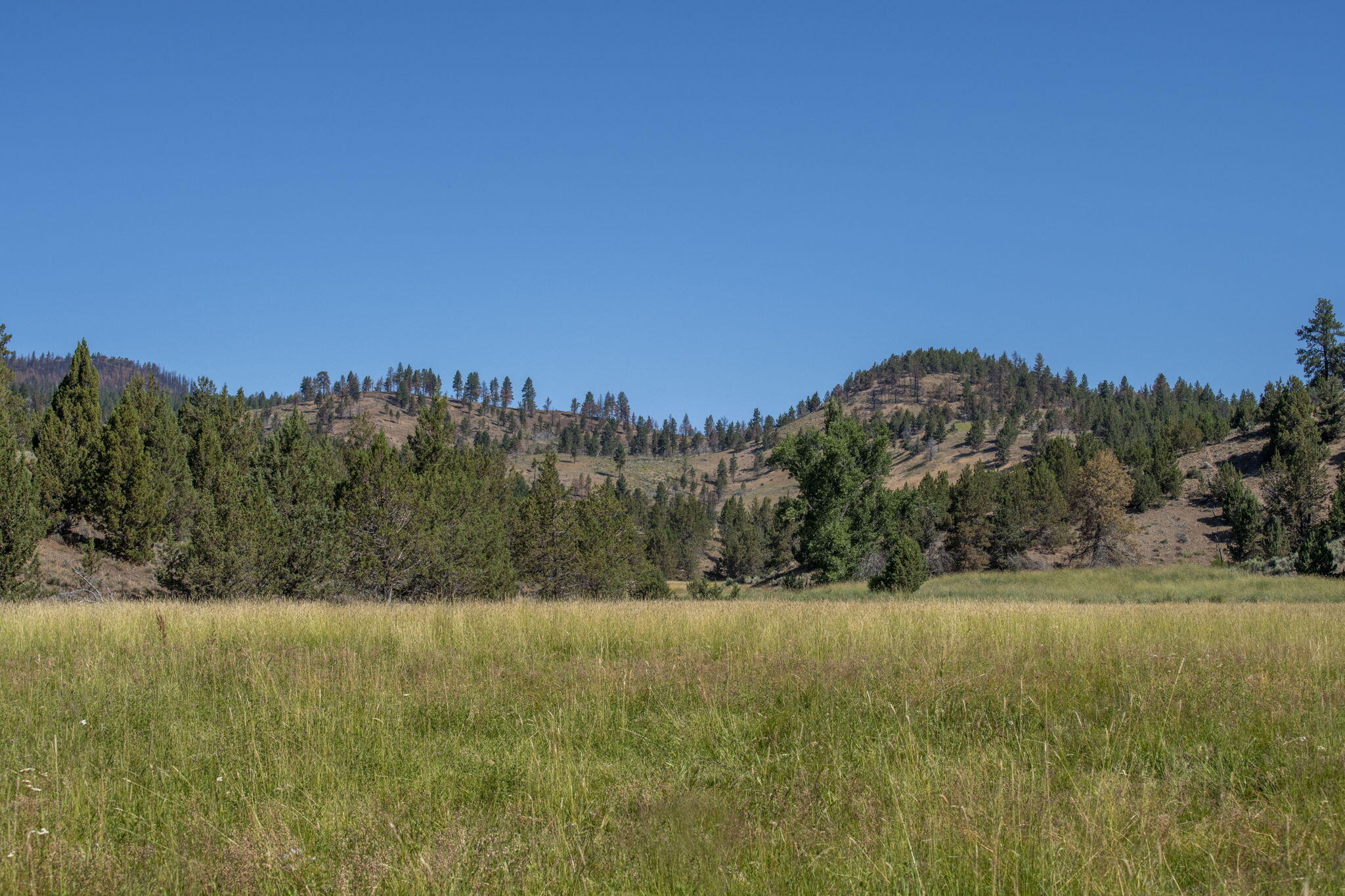 32500 Tackman Road Prineville, OR 97754 - Photo 98 of 112 81-web-or-mls-DSC_6724
