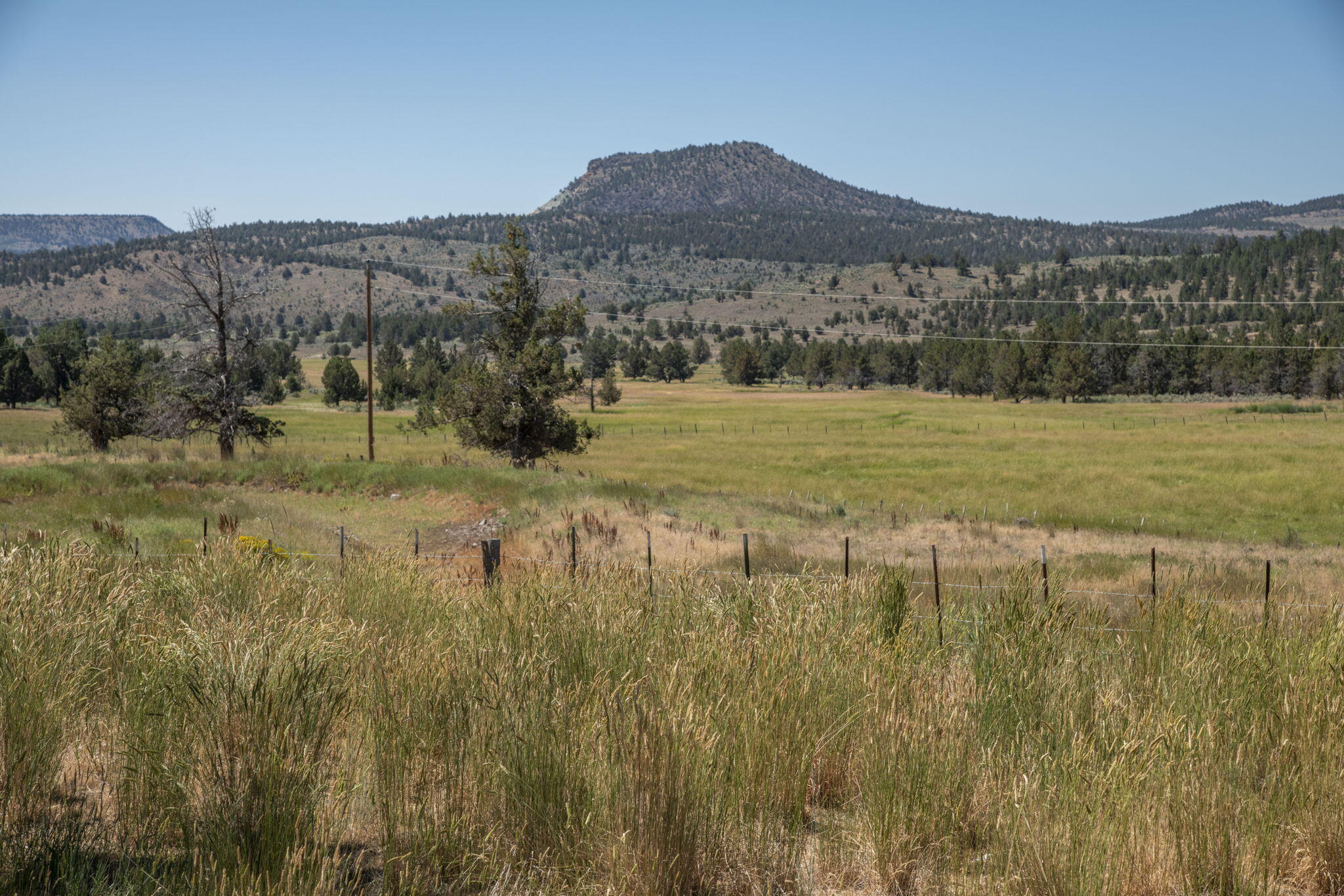 32500 Tackman Road Prineville, OR 97754 - Photo 100 of 112 91-web-or-mls-DSC_6744