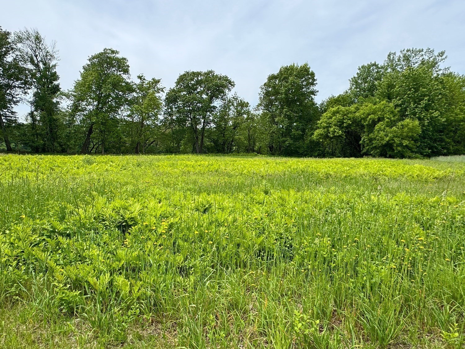0 Meadow Road Montague, MA 01351 - Photo 7 of 21 Gallery Image 7