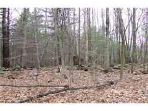 0 Wiggin Rd (a/k/a 6 Dudley Rd) Wolfeboro, NH 03894 - Photo 1 of 3 Gallery Image 1