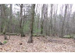 0 Wiggin Rd (a/k/a 6 Dudley Rd) Wolfeboro, NH 03894 - Photo 2 of 3 Gallery Image 2
