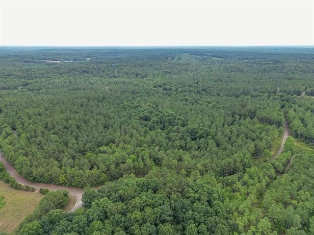 3605 Burnett Mills Road Bolivar, TN 38008 - Photo 3 of 9 a view of a field with an ocean