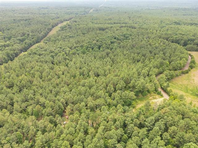 3605 Burnett Mills Road Bolivar, TN 38008 - Photo 5 of 9 a view of a field with an ocean