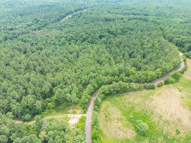 3605 Burnett Mills Road Bolivar, TN 38008 - Photo 6 of 9 a view of a yard