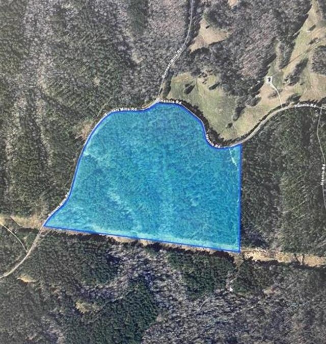 3605 Burnett Mills Road Bolivar, TN 38008 - Photo 9 of 9 a view of outdoor space and yard