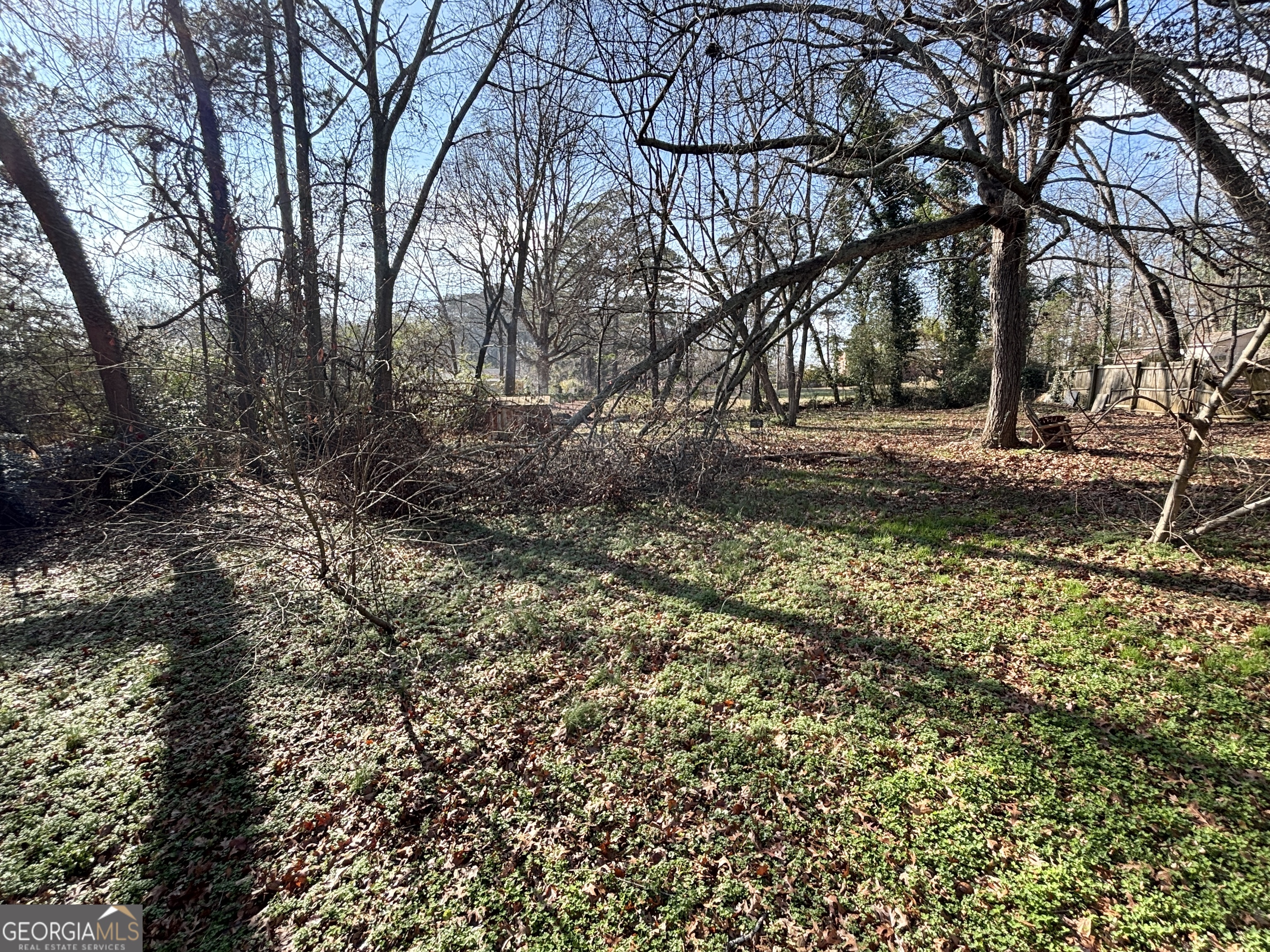 210 Arrowhead Road Athens, GA 30606 - Photo 5 of 15 a view of backyard with green space