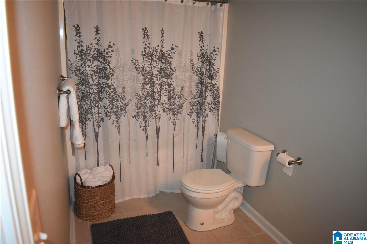 13725 Remlap Drive Remlap, AL 35133 - Photo 18 of 19