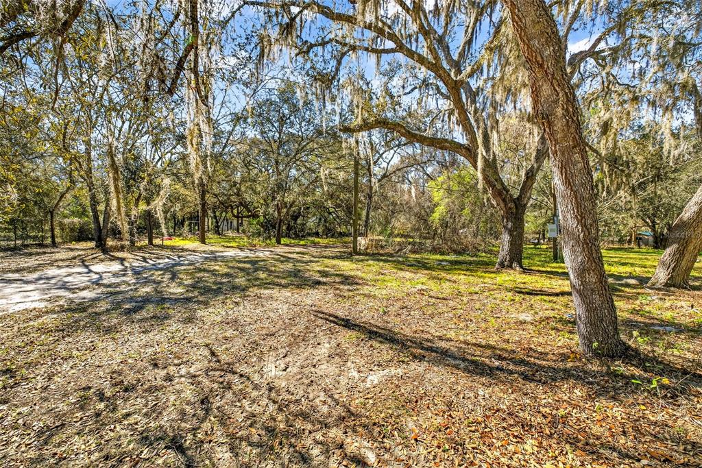 16624 Helen K Drive Spring Hill, FL 34610 - Photo 12 of 15