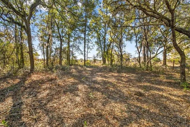 $285,000 | 16624 Helen K Drive, Spring Hill, FL 34610