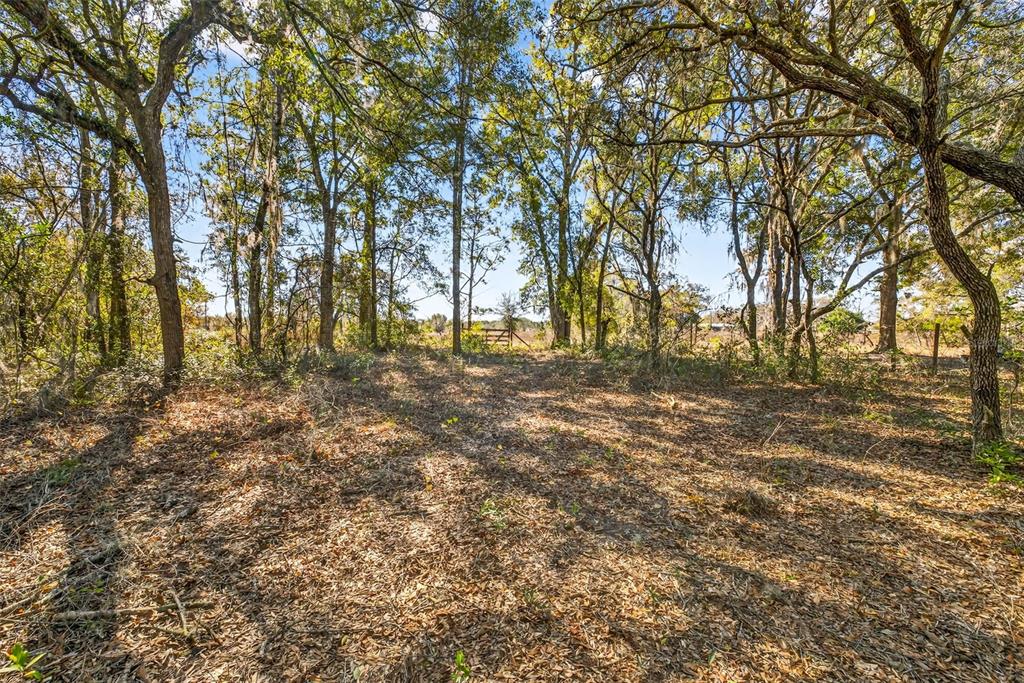 16624 Helen K Drive Spring Hill, FL 34610 - Photo 13 of 15