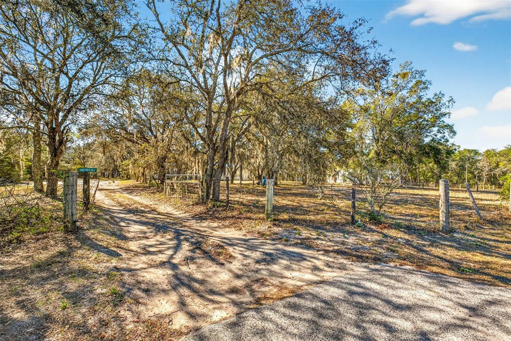 16624 Helen K Drive Spring Hill, FL 34610 - Photo 2 of 15