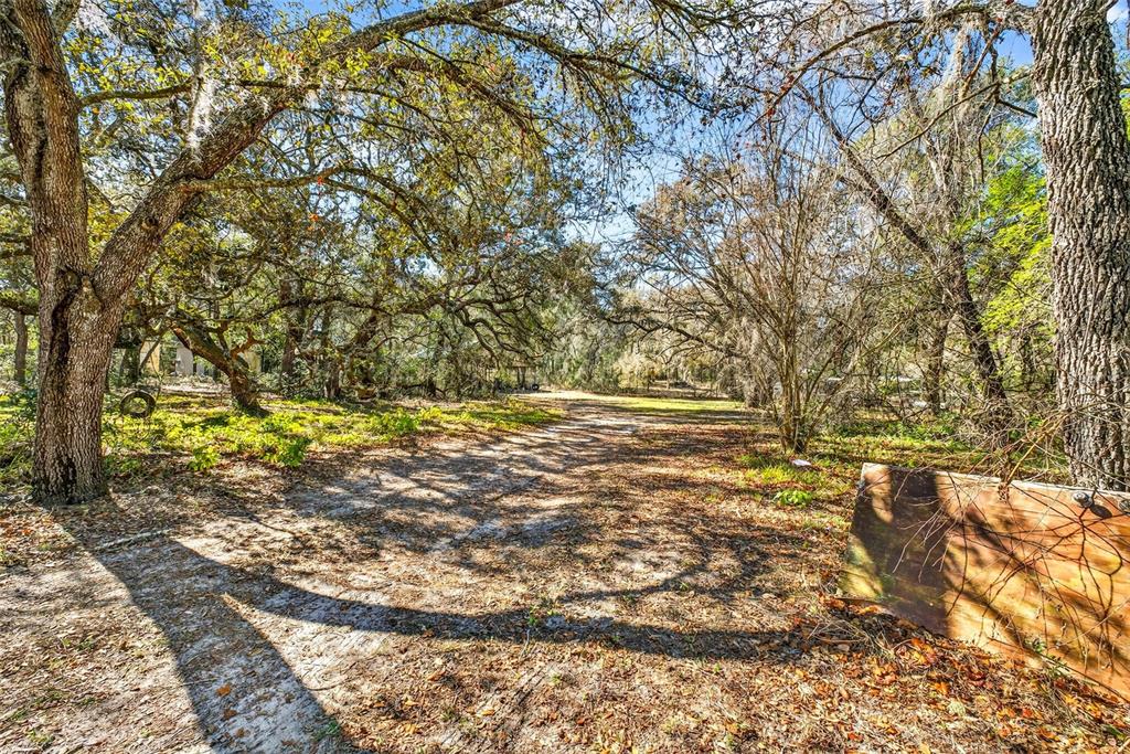 16624 Helen K Drive Spring Hill, FL 34610 - Photo 3 of 15