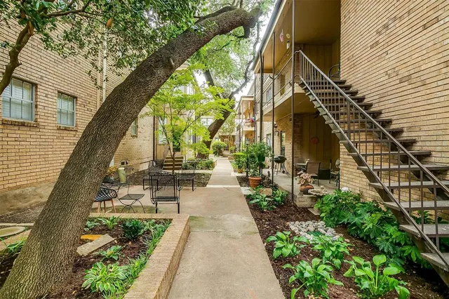 a view of a pathway of the house along with trees