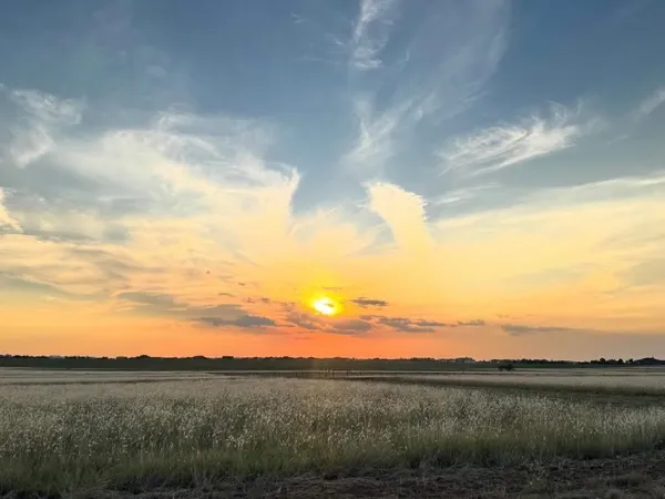 $133,390 | 4403 County Road 7900, Lubbock, TX 79424