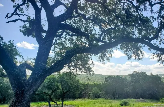 $599,900 | 12033 Summer Meadows, Spring Branch, TX 78070