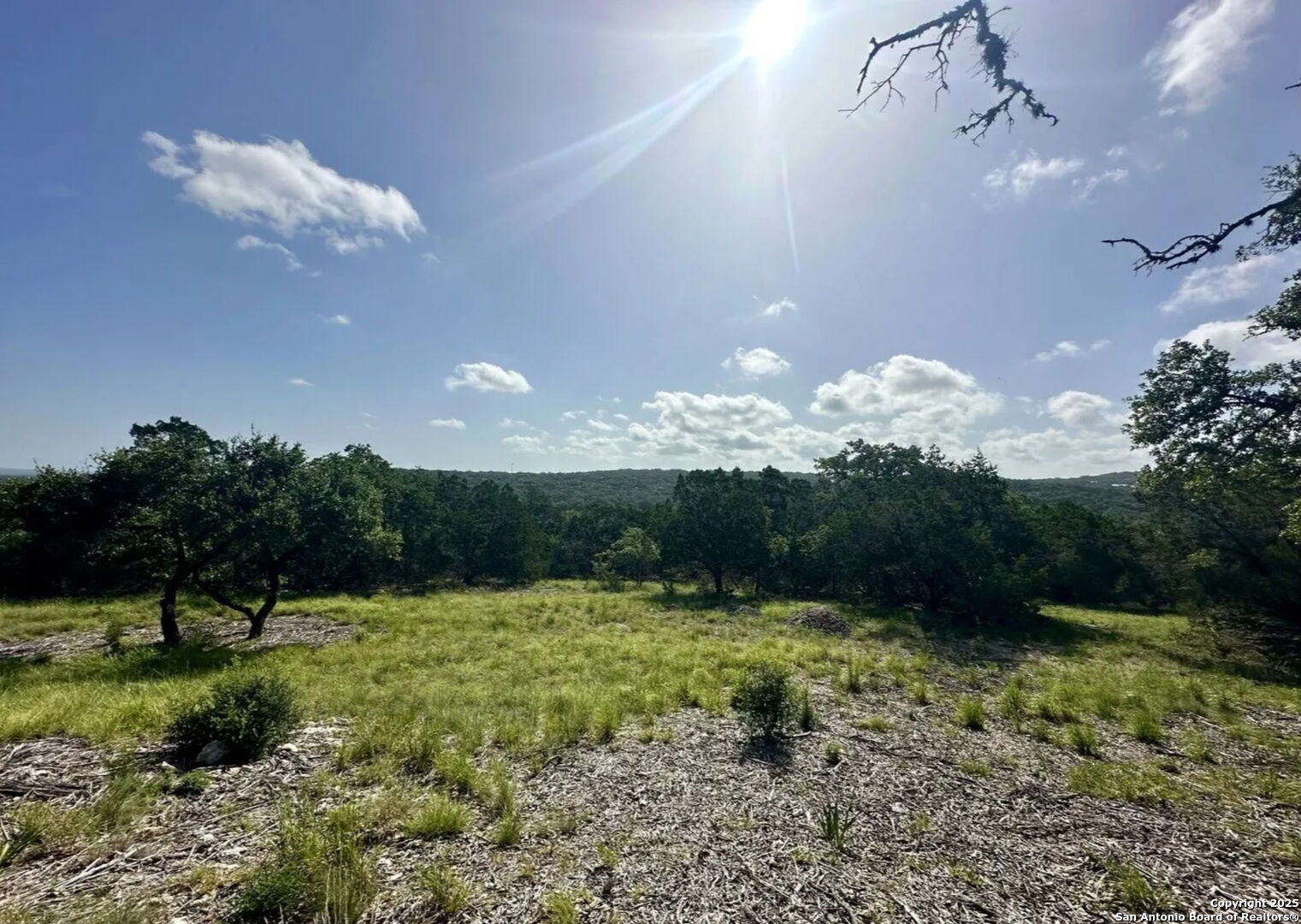 12033 Summer Meadows Spring Branch, TX 78070 - Photo 2 of 18