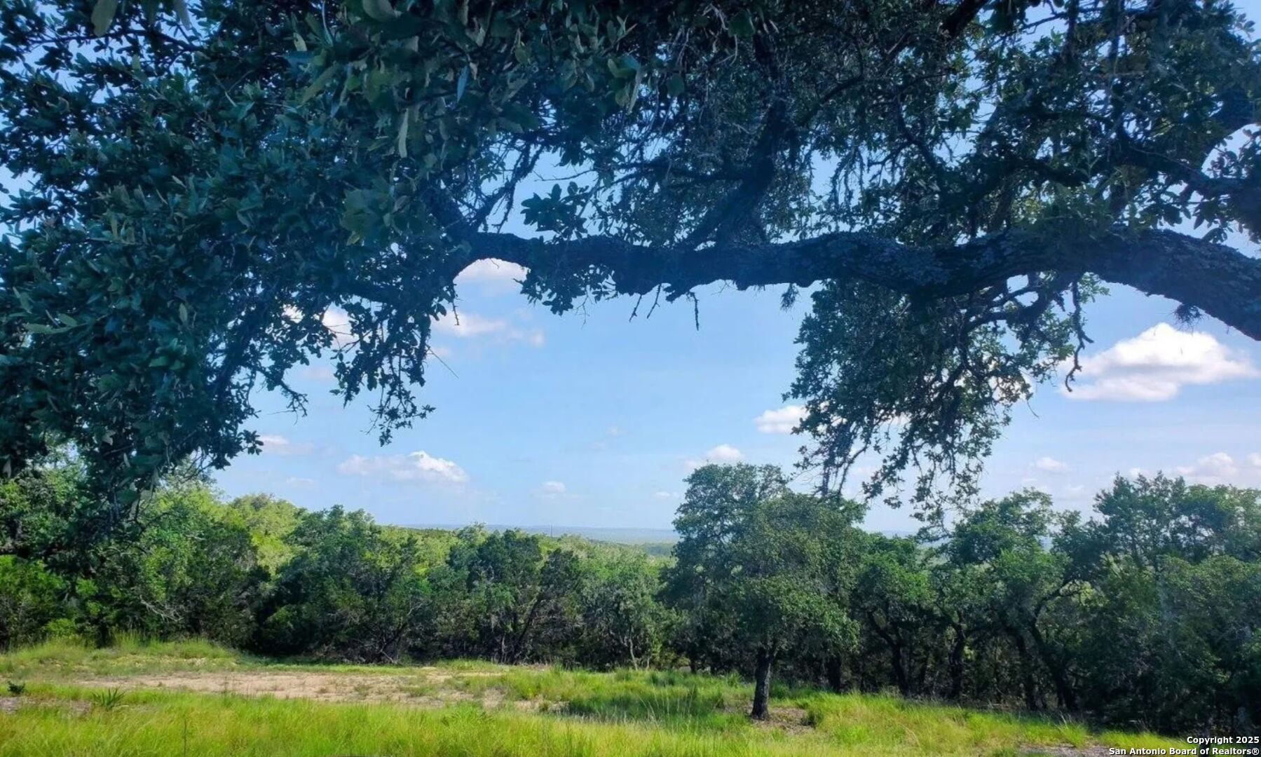 12033 Summer Meadows Spring Branch, TX 78070 - Photo 4 of 18