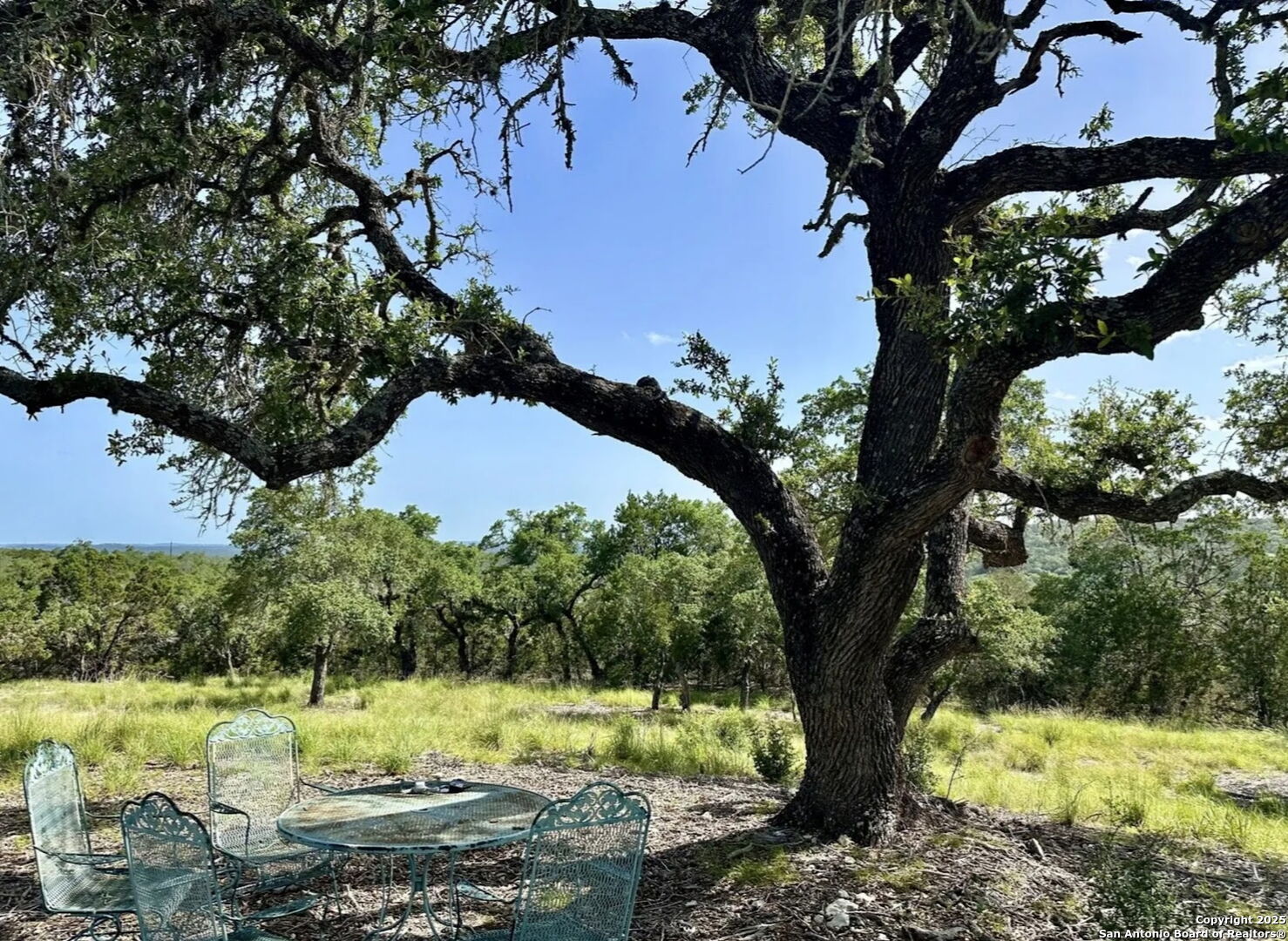 12033 Summer Meadows Spring Branch, TX 78070 - Photo 5 of 18