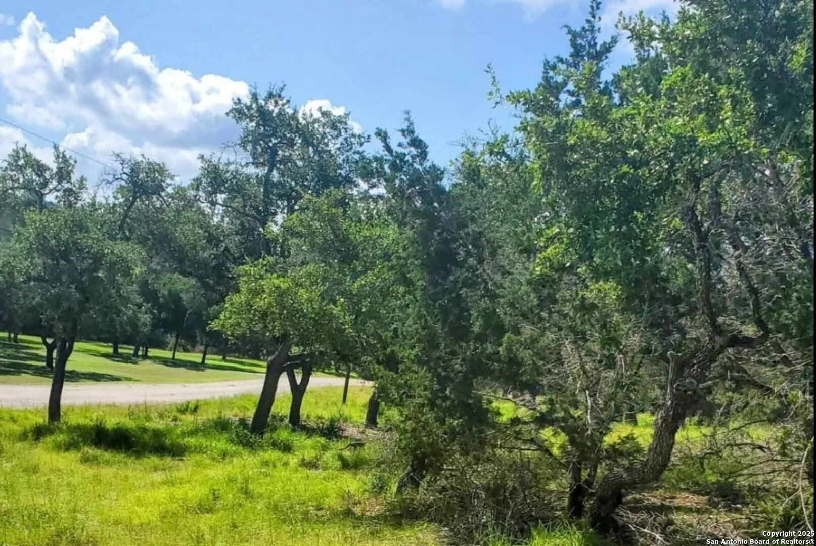 12033 Summer Meadows Spring Branch, TX 78070 - Photo 8 of 18