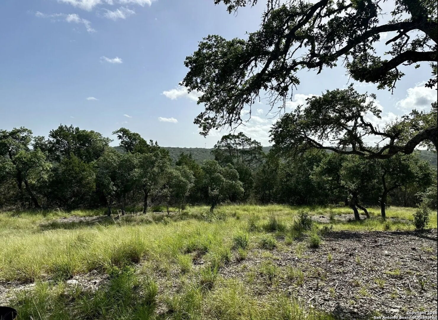 12033 Summer Meadows Spring Branch, TX 78070 - Photo 9 of 17 a view of outdoor space with green field and trees