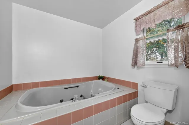 a bathroom with a toilet and bathtub
