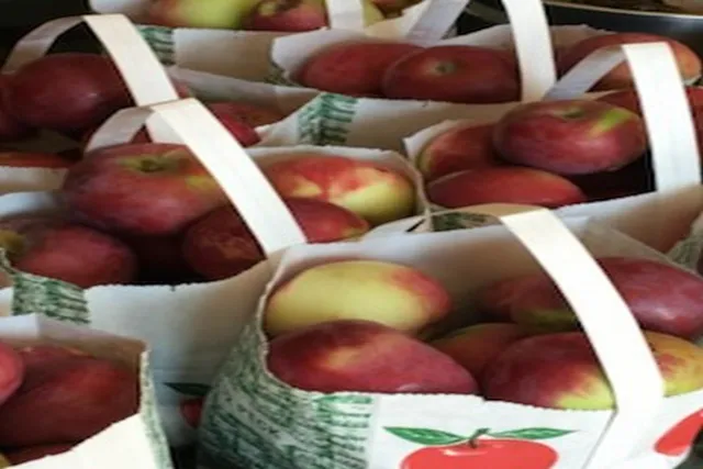 $795,000 | 2636 Highway 3, Pittsford, VT 05744