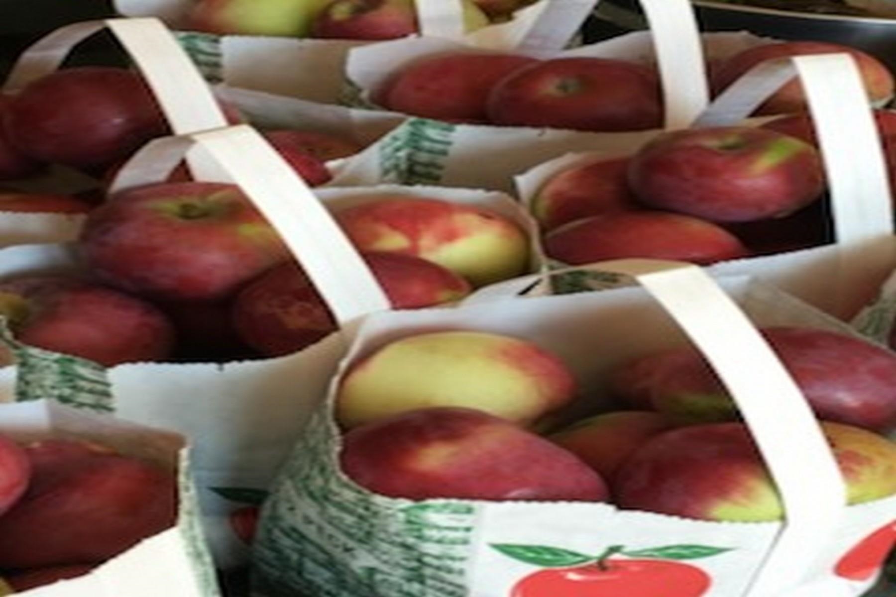 2636 Highway 3 Pittsford, VT 05744 - Photo 38 of 55