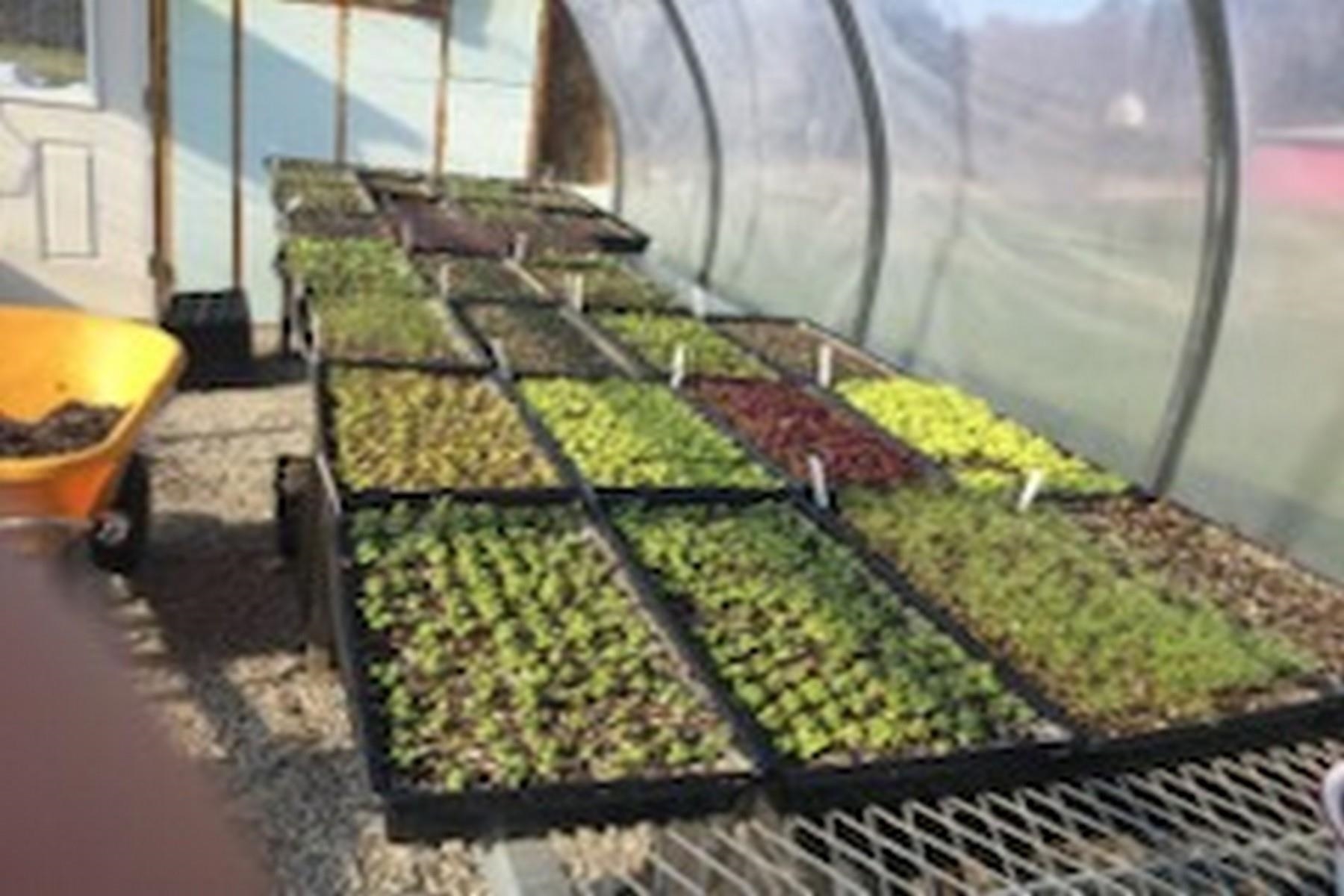 2636 Highway 3 Pittsford, VT 05744 - Photo 39 of 55